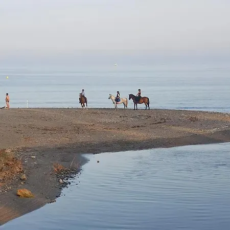 Beachfront Escape