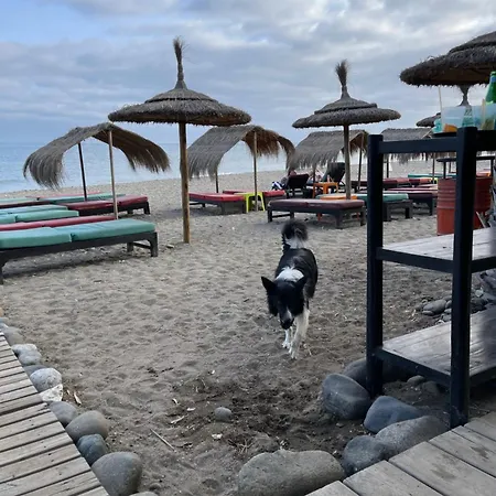 Beachfront Escape Lejlighed *