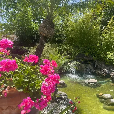 דירה Beachfront Escape *