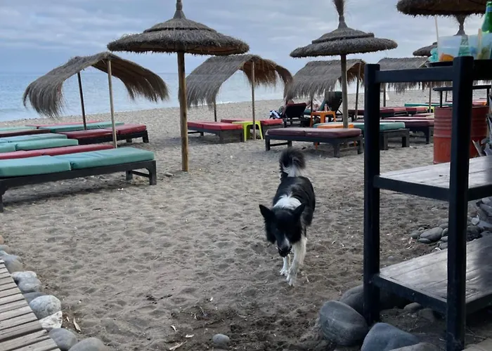 Beachfront Escape Διαμέρισμα *